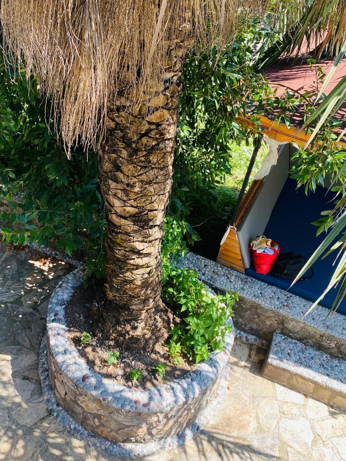 Vilă Plum Garden Fethiye